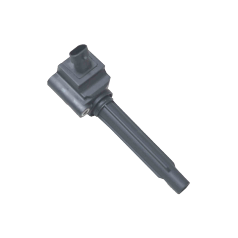 FS1-12A366-AB